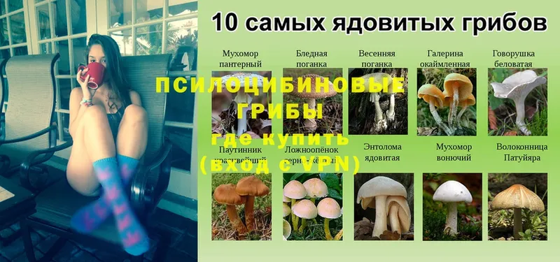 Псилоцибиновые грибы Magic Shrooms  ссылка на мегу ТОР  Пушкино 